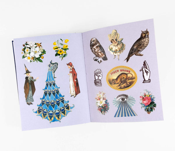 The Antiquarian Sticker Book: Over 1,000 Exquisite Victorian Stickers – The  Children's Hour Bookstore